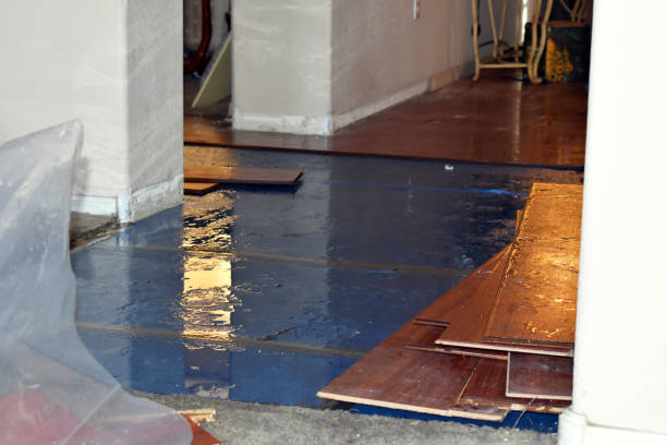 Professional Flood Damage Repair technician working in Sunset, TX
